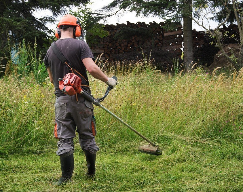 1000_F_368042025_EInKynmYy7fIhzjYMxw4ucAYa0j4NArS