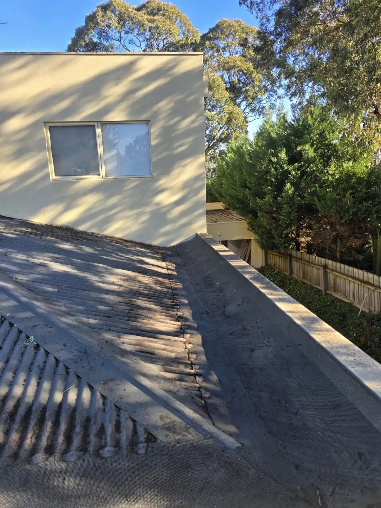 WhatsApp Image 2025-07-02 at 6.38.30 PM (1)