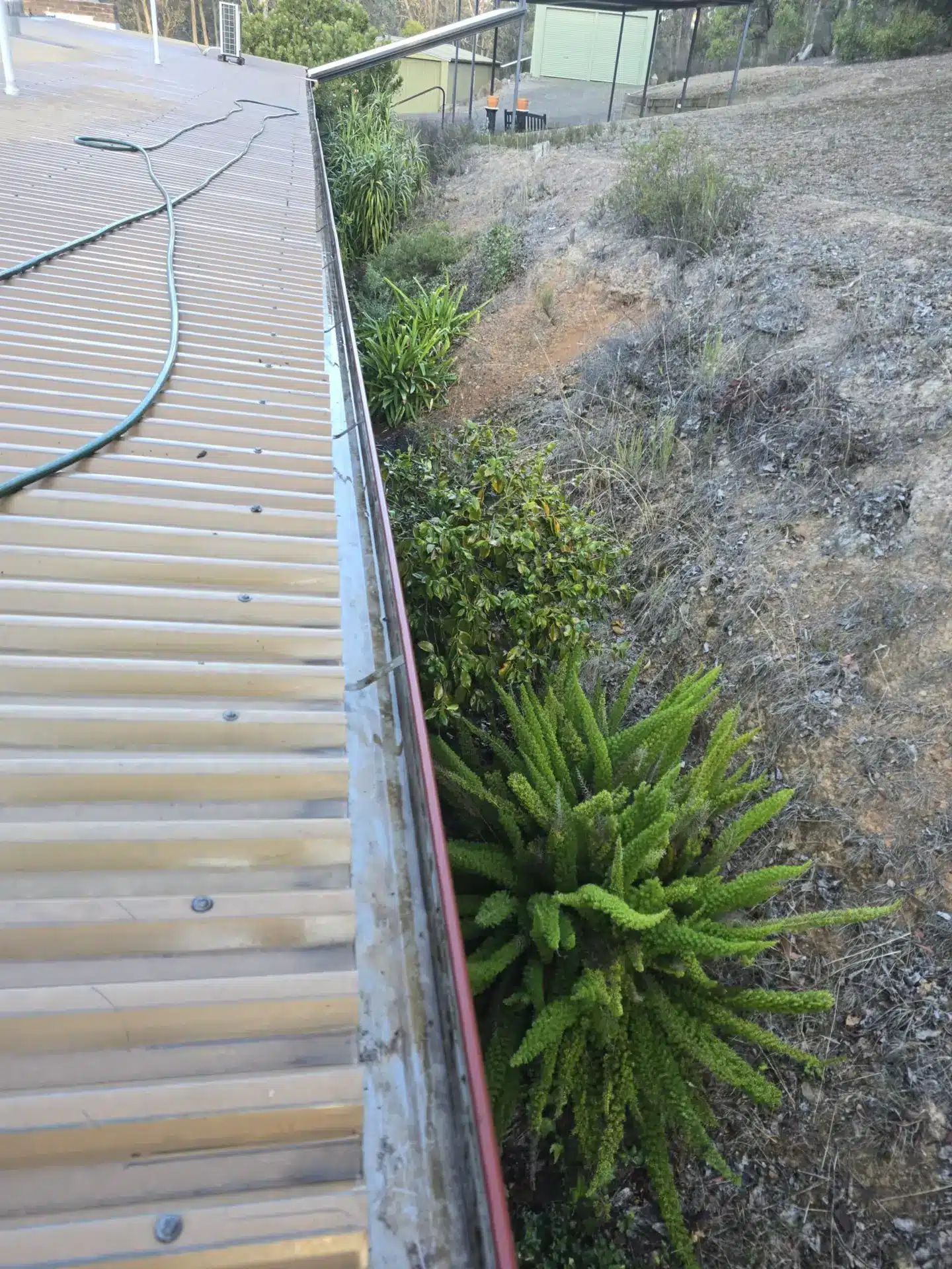 WhatsApp Image 2025-07-08 at 7.41.54 PM